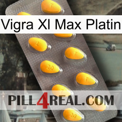 Vigra Xl Max Platinum cialis1